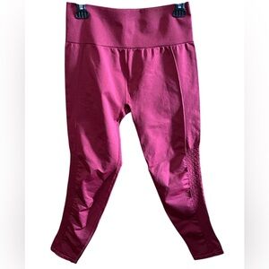 Fabletics Cranberry Tights